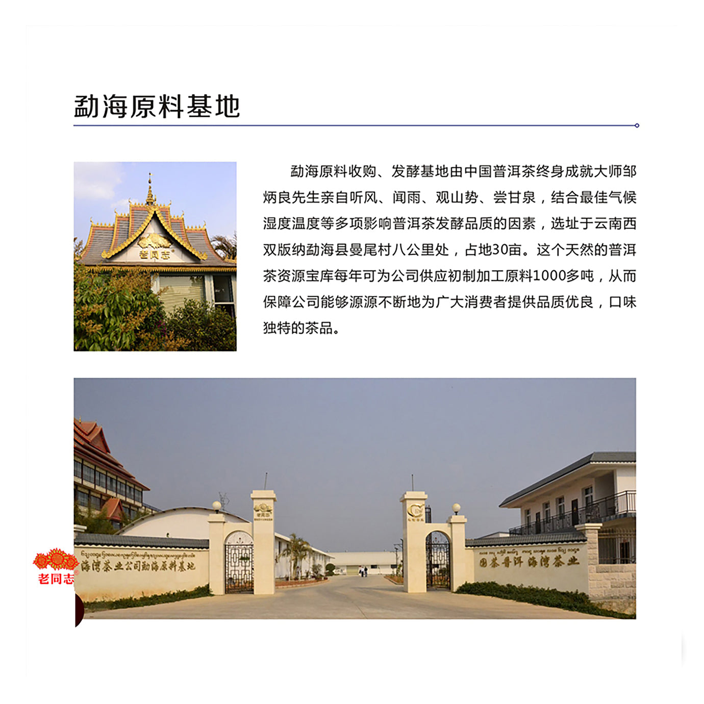 Mo Yun Pu'er Black Tea (Raw) - Lao Tong Zhi