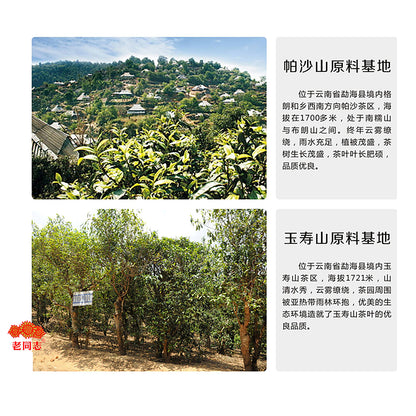 Mo Yun Pu'er Black Tea (Raw) - Lao Tong Zhi